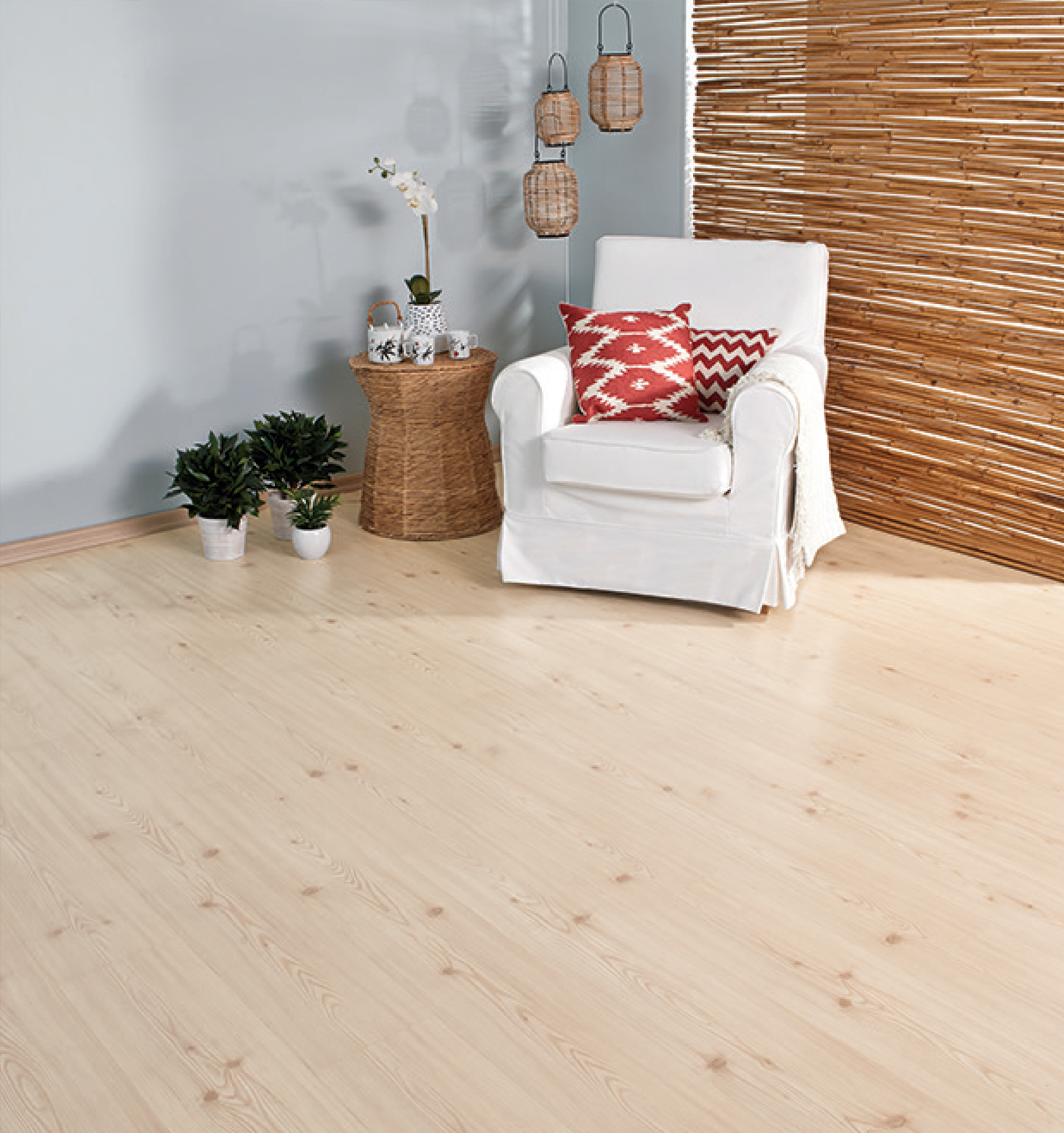 spruce11